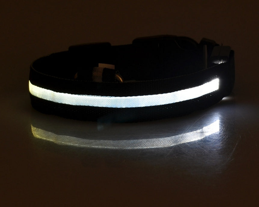 Glow-in-the-Dark LED Dog Collar - Safety First
