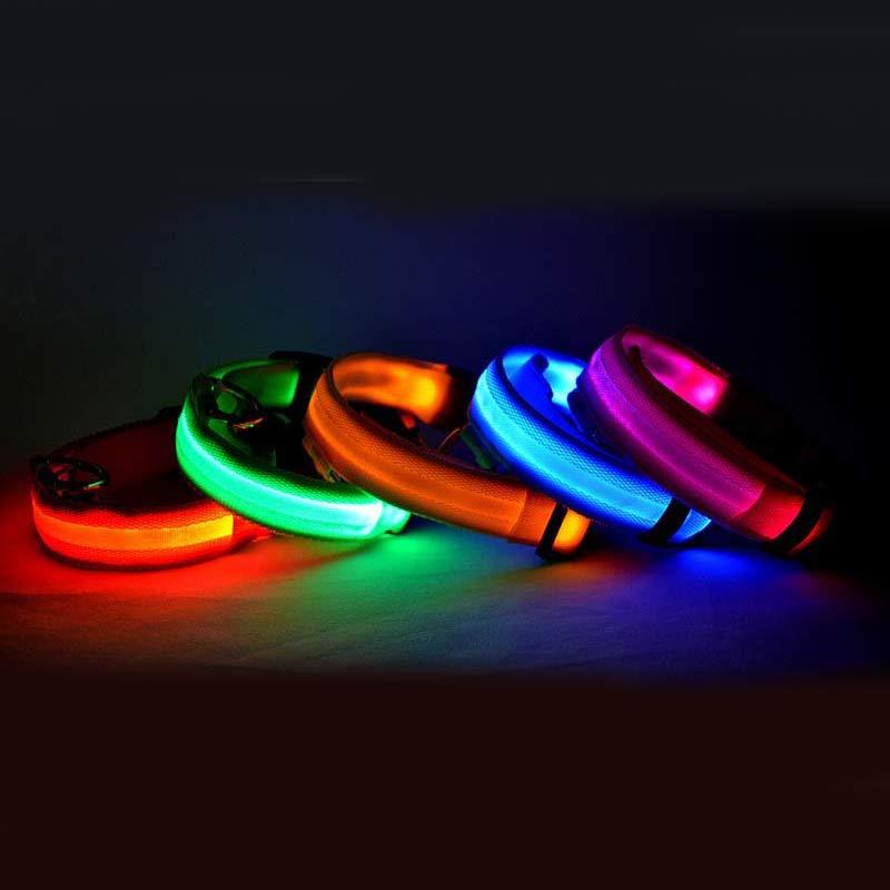 Glow-in-the-Dark LED Dog Collar - Safety First