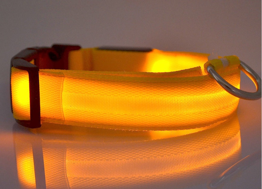 Glow-in-the-Dark LED Dog Collar - Safety First