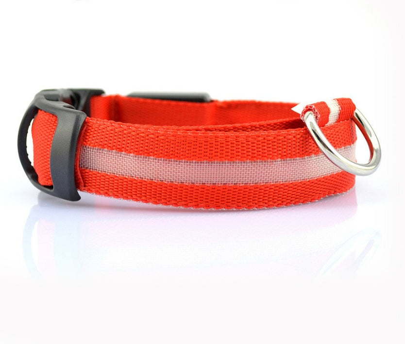 Glow-in-the-Dark LED Dog Collar - Safety First