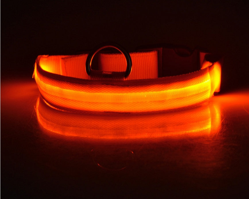 Glow-in-the-Dark LED Dog Collar - Safety First