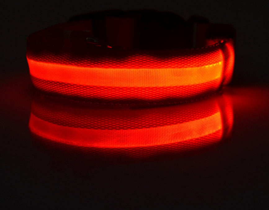 Glow-in-the-Dark LED Dog Collar - Safety First