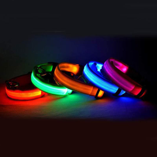 Glow-in-the-Dark LED Dog Collar - Safety First