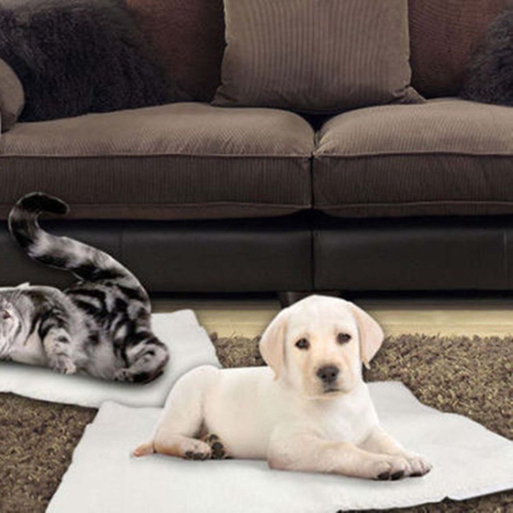 Self-Heating Pet Blanket - Soft & Cozy Warmth