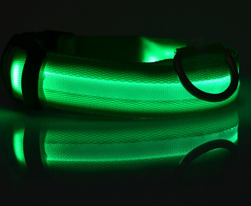 Glow-in-the-Dark LED Dog Collar - Safety First