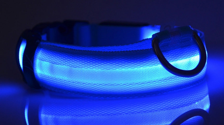 Glow-in-the-Dark LED Dog Collar - Safety First
