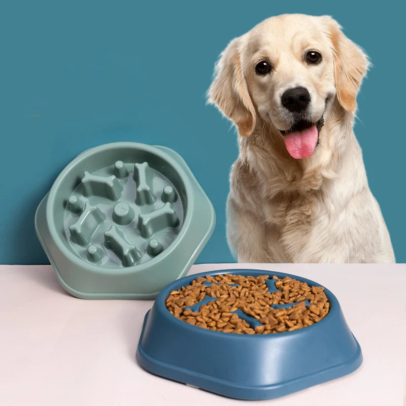 Durable Slow Feeder Bowl - Safe & Fun Mealtimes